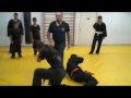 NINJUTSU TECHINQUES מבחני שיטה בנינג'טסו