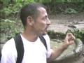 Guarda video