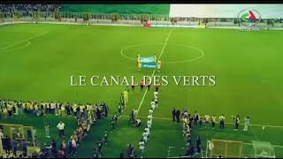 Le canal des verts  |  20 -11-2025