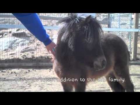See video