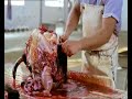 presentación de las vacas  por fassbinder 