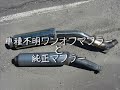 ウィリーしてみたり、謎のワンオフマフラーに交換したので撮ってみた。From Japan!
