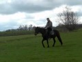 3jr D-pony Calimero vierde keer onder het zadel
