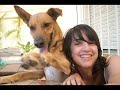 ciclon   mi perro dinamita   los redondos