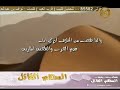 شيلة تجارب عمري كلمات ناصر العجمي أداء سعد اليامي شيلة تجارب عمري كلمات ناصر العجمي أداء سعد اليامي