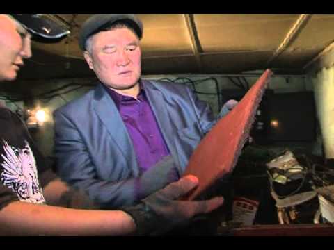 Эгэл амьдралын мөр 24 - Зөөлөн дэлхий