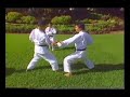 Ninjushiho, Kenneth Funakoshi, Kata and Bunkai