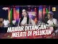 Rena Movie - Mawar Ditangan Melati Di Pelukan ft Ageng Music (Live Music)