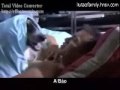 Ah Bao De Gu Shi 1 _part 1_2.wmv