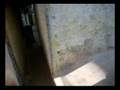 Niteroi Paintball NPB 2
