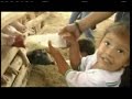 Panaca viajero