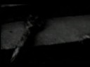 Skinny Puppy - Stairs and Flowers