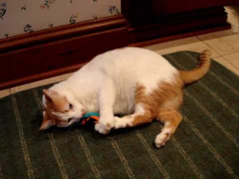 0 Colorado Catnip Toys
