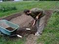 Biointensive Gardening 2b - Deep Bed Prep