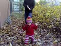 Dances With Leaves