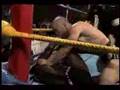 Wanderlei Silva Hitz