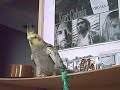 mi ninfa bailando una cancion suave !!!