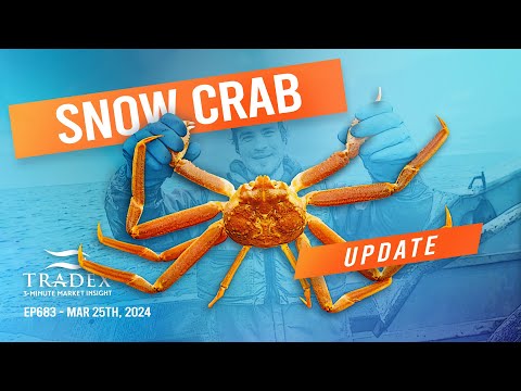 3MMI - Snow Crab Update: Largest Fishery to Start Soon, Prices May Trend Upward for 2024 