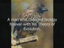 Darwin\ Darwin\