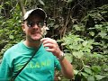 2da visita ROCK NICA ECOLÓGICO a RESERVA NAT. EL CHOCOYERO 2da visita ROCK NICA ECOLÓGICO a RESERVA NAT. EL CHOCOYERO