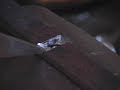 Blacksmithing: The inlaid tenon joint Blacksmithing: The inlaid tenon joint