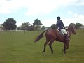 waihi show hunter waihi show hunter