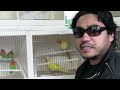 YouTube - AFA380 Omid TAVALLAI