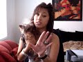 REQUEST:Chris Brown Forever by ERIKA DAVID