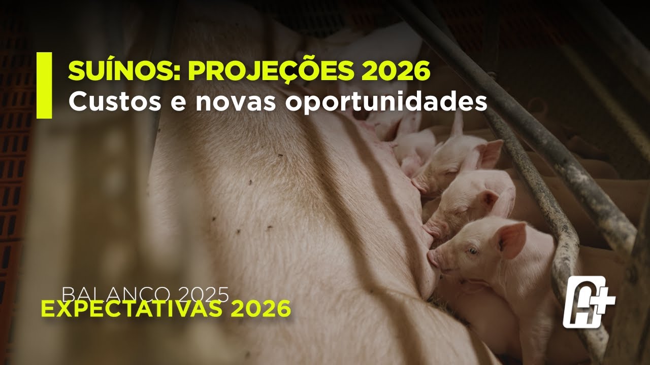 Suinocultura: balanço 2025 e projeções 2026 com Iuri Pinheiro (ABCS)