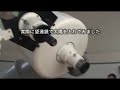 [雑学]日食を安全に楽しむための「太陽観測お作法」解説動画。のサムネイル1
