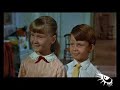 Mary Poppins e l'ornitologia
