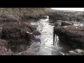 Scott Creek Gauntlet - Water Hazard