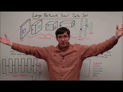 Transfer Learning & Data Augmentation (DL 14)