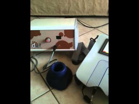 Guarda il video >>