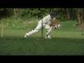 videos de Me Batting 58*