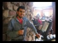 work and travel www workuse com natalia mont