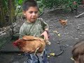 Gallinas Gallinas