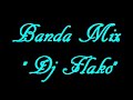 Banda Ms Mix 2010