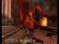 Elder Scrolls oblivion Glitch and bugs Fun Elder Scrolls oblivion Glitch and bugs Fun