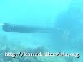Durres 2008 Video Nen Ujore - Kanud (Pjesa2)