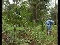 Realnollymovies - Simple Baby