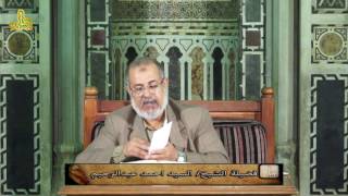 باب الضاد والظاء (4) 