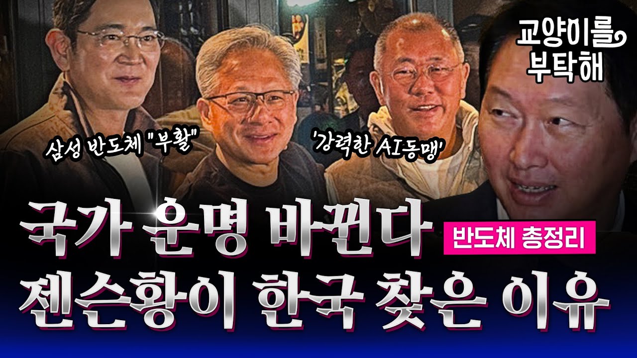 삼성, 결국 엔비디아 뚫었다! "HBM 부활"...이제 국가 운명까지 바뀐다, 젠슨황이 한국 찾은 진짜 이유 (ft.이효석, 최리노) / 교양이를 부탁해 / 반도체 총정리