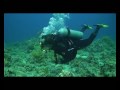 GORDON REEF
