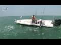 videos de Big Tarpon from Boca Grande Area with Capt Phil Dugger and host Henry Waszczuk