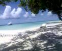 Maayafushi The Maldives