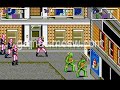 Teenage Mutant Ninja Turtles 2: The Arcade Game PC game