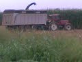 claas jaguar 860 con fiat 180 e john deere 7730