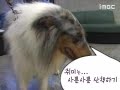081001 iMBC Beethoven Virus - Thoven's action ^^