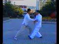 Yang-Style Taiji Pushhand - 1
